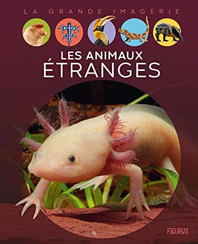 les animaux étranges  