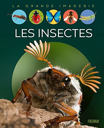 les insectes  