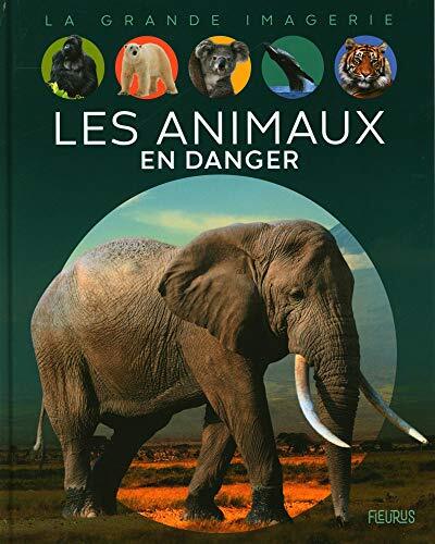 les animaux en danger  