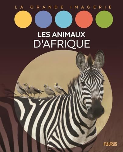 les animaux d'afrique  