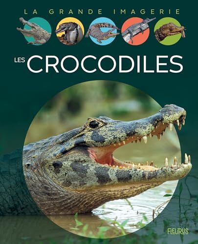 les crocodiles  