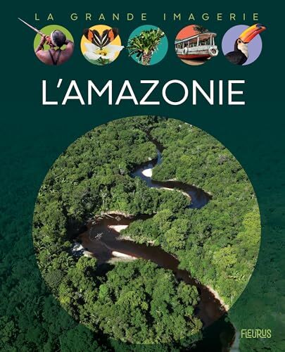 l' amazonie