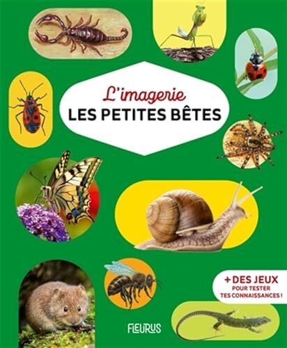 les petites bêtes  