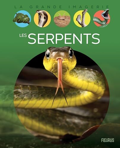 les serpents  