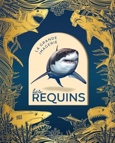 les requins  