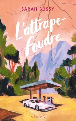 l' attrape-foudre  