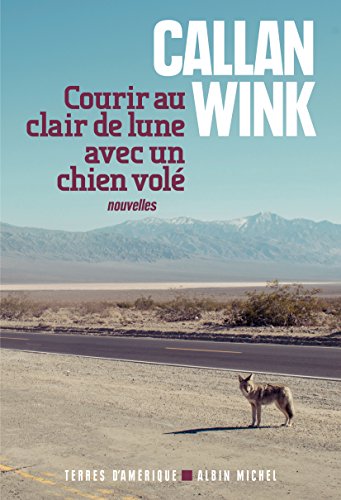 courir au clair de lune avec un chien volé