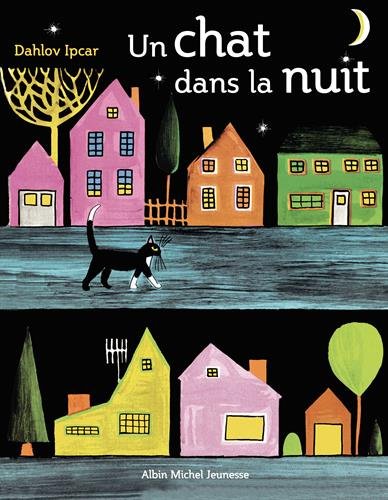 un chat dans la nuit  