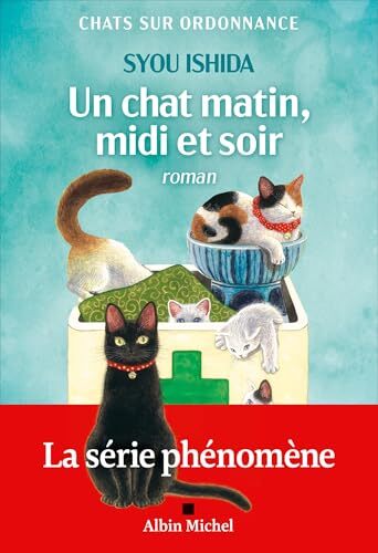un chat matin, midi et soir  