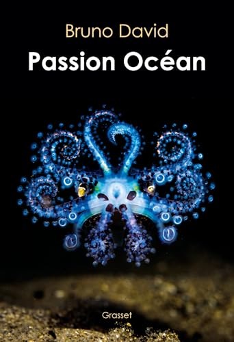 passion océan
