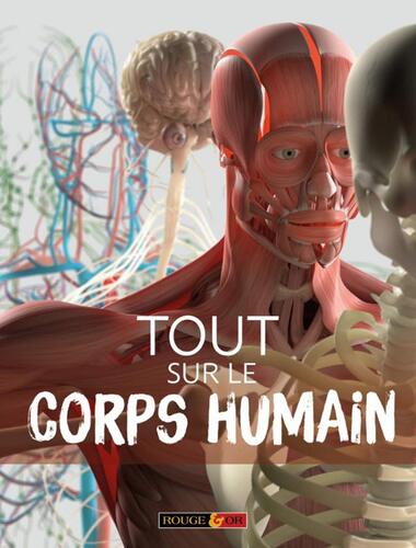 tout sur le corps humain