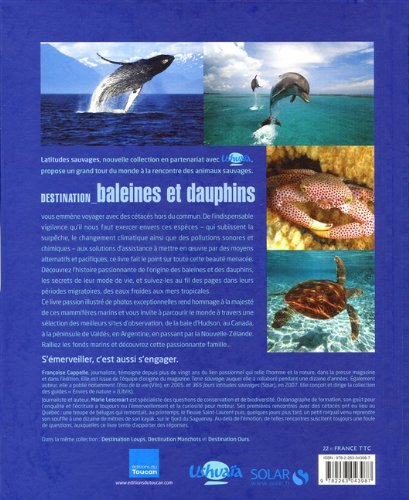 destination baleines et dauphins