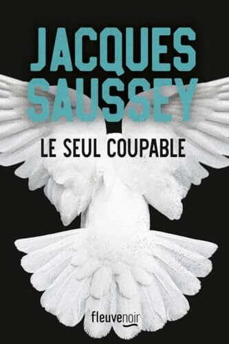 le seul coupable  