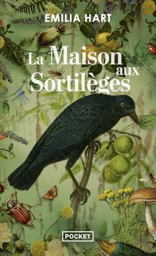 la maison aux sortilèges   [19374]