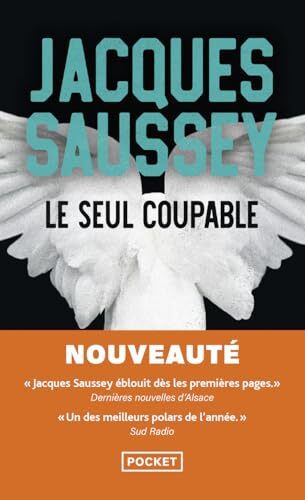 le seul coupable   [19804]