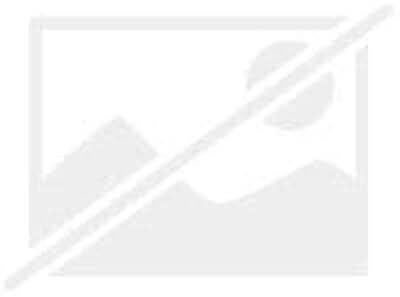 les irlandais de grosse-île  