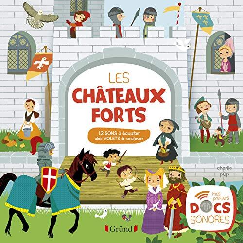 les châteaux forts  