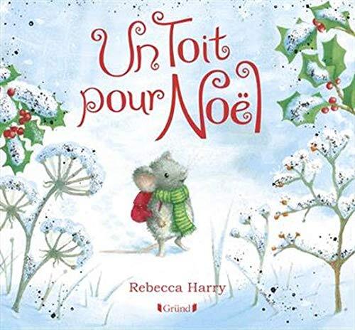 un toit pour noël  