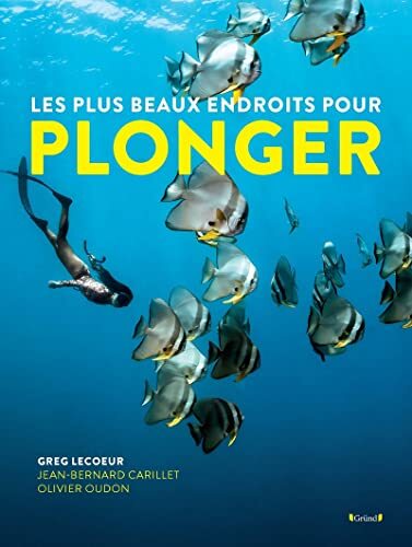 les plus beaux endroits pour plonger  