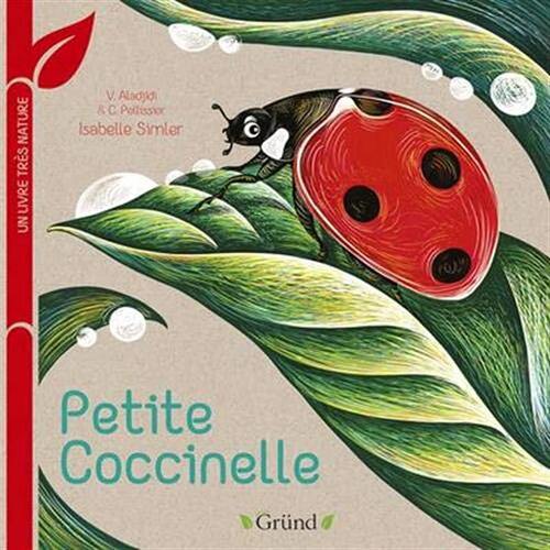petite coccinelle