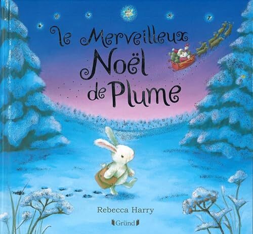 le merveilleux noël de plume  