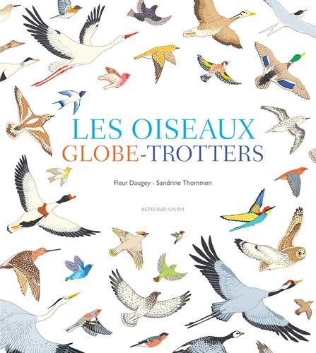 [les ]oiseaux globe-trotters