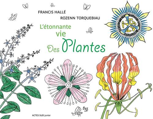 l' étonnante vie des plantes  