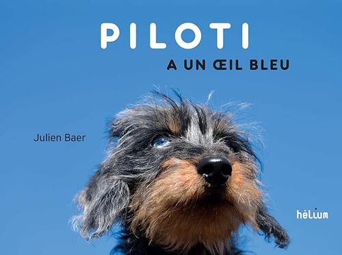 piloti a un oeil bleu