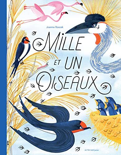 mille et un oiseaux
