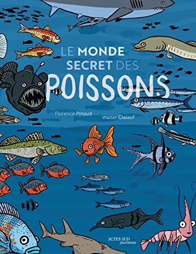 le monde secret des poissons  