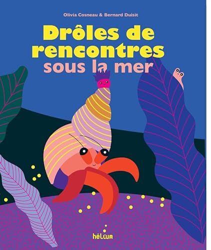 drôles de rencontres sous la mer