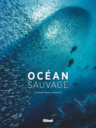 océan sauvage