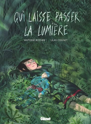 qui laisse passer la lumière