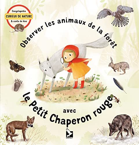 observer les animaux de la forêt avec le petit chaperon rouge