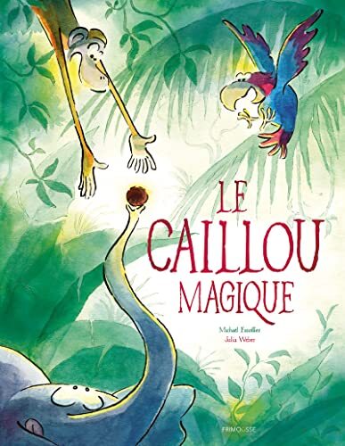 le caillou magique  