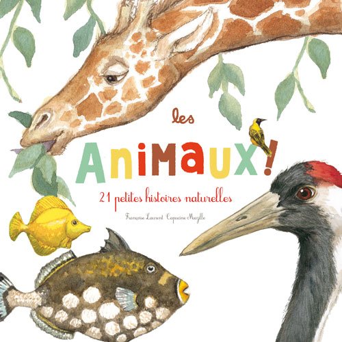 les animaux !  