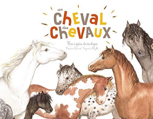 un cheval des chevaux  
