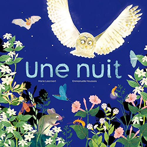une nuit  