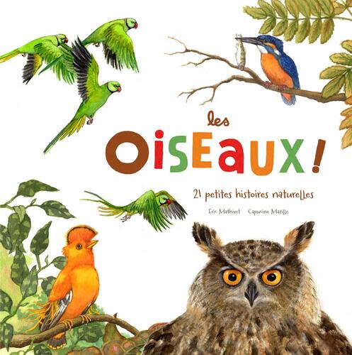 les oiseaux !  