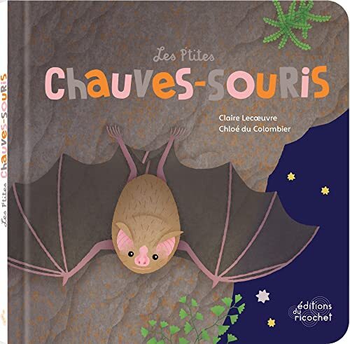 les p'tites chauves-souris  