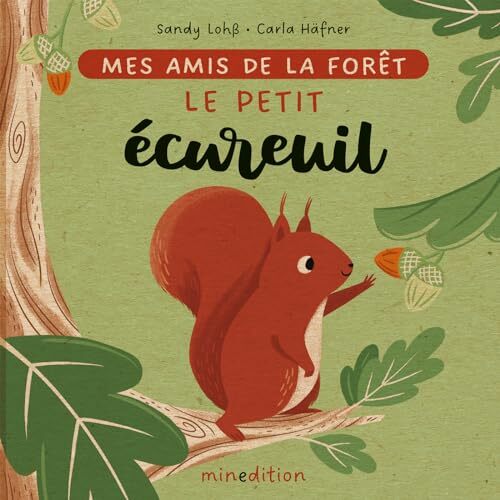 le petit écureuil  
