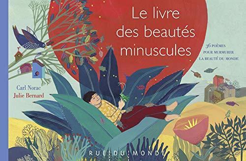 le livre des beautés minuscules  