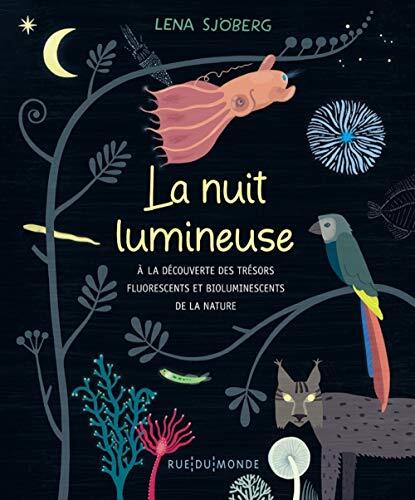 la nuit lumineuse  