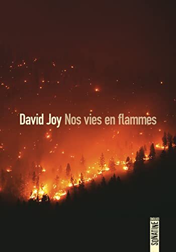 nos vies en flammes