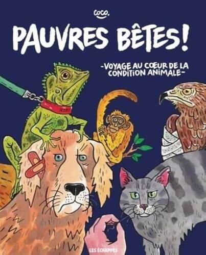 pauvres bêtes ! voyage au cœur de la condition animale
