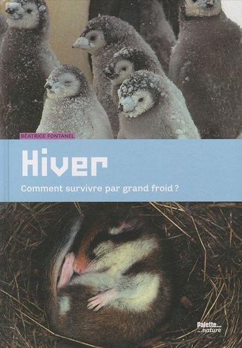 hiver : comment survivre par grand froid ?