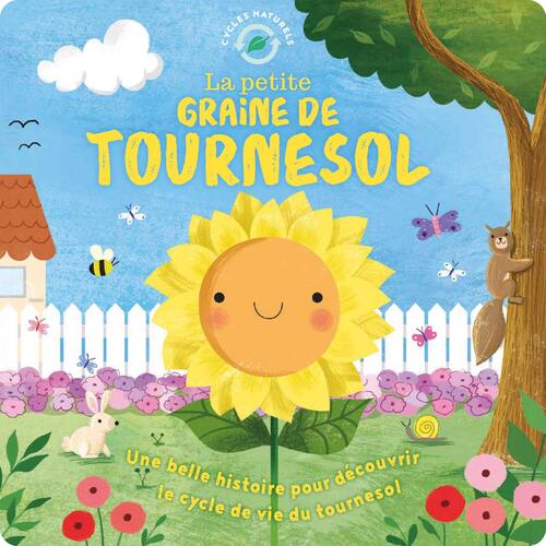 la petite graine de tournesol  
