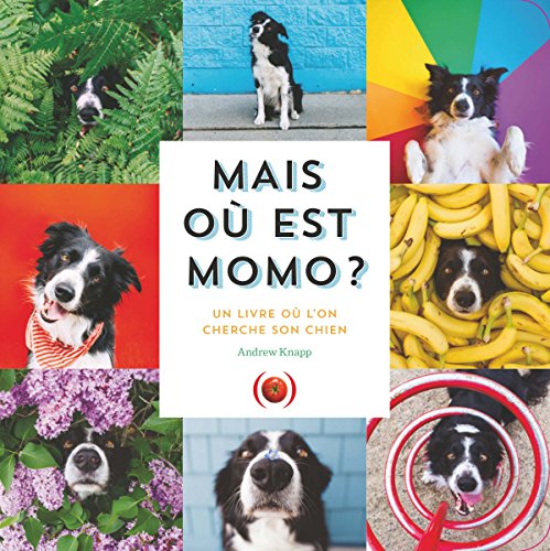 mais où est momo ?