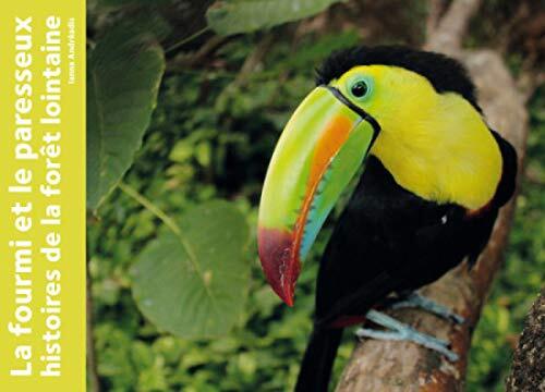 la fourmi et le paresseux  