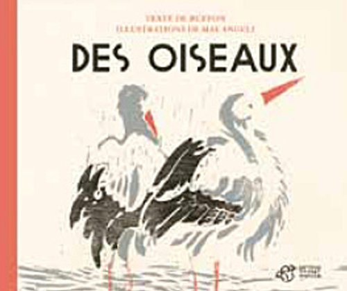 des oiseaux  
